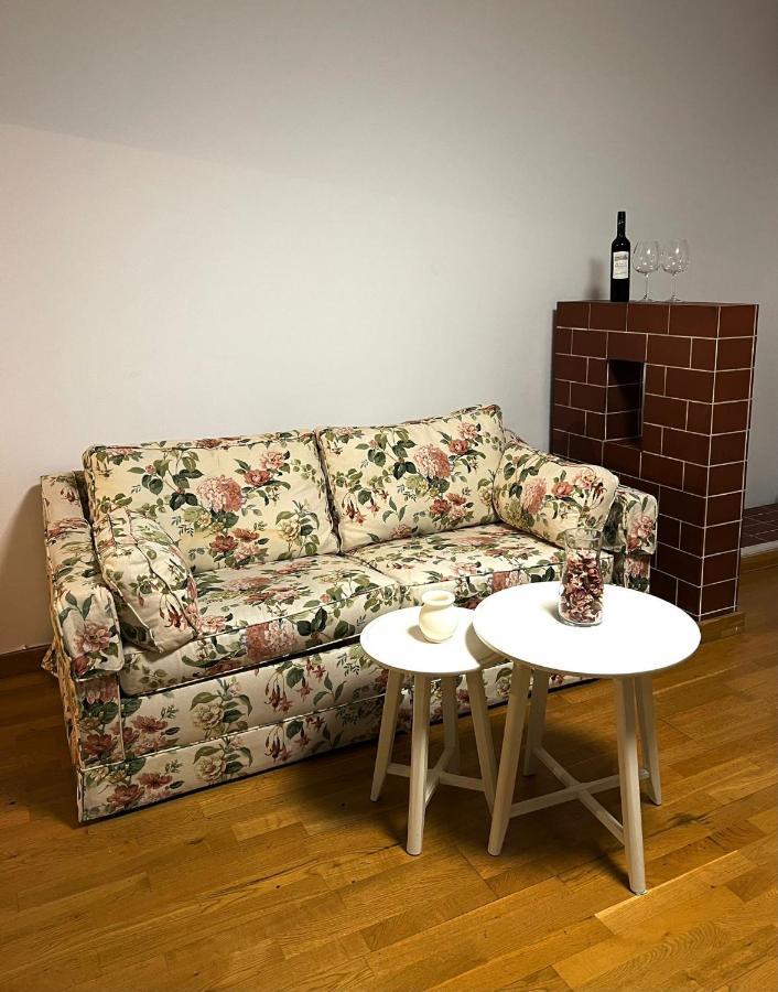 Spacious Apartment With Terrace Виена Екстериор снимка